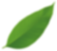 Big Cleaning company Big Cleaning company